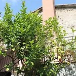 Terrazza Sul Golfo - Il Casale 팜스테이 라스페치아