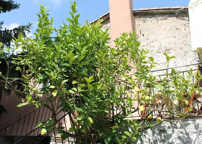 Terrazza Sul Golfo - Il Casale Κατάλυμα σε φάρμα Λα Σπέτσια